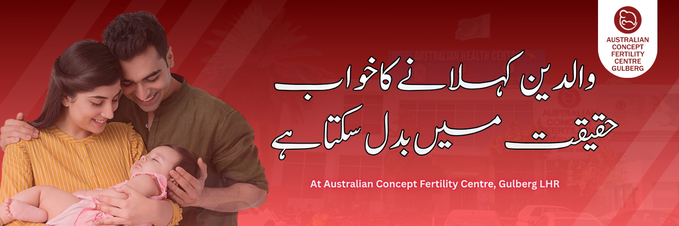 Home 1 Website Banner 1